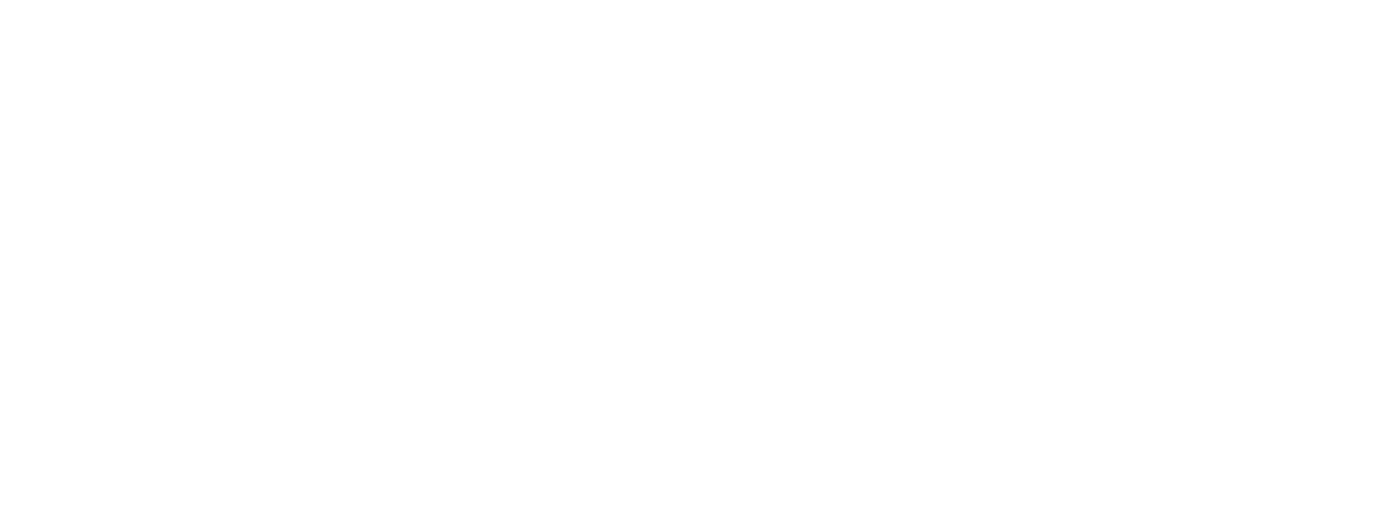 OnBoard Force